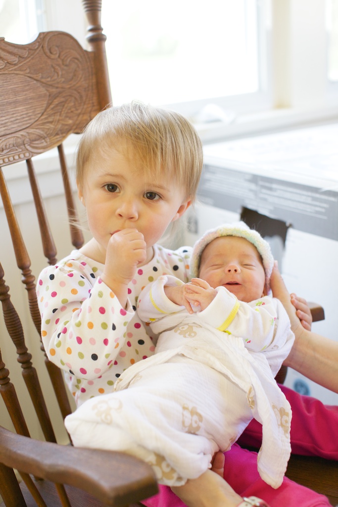 newborn twin held by toddler older sister by Laura Billingham Photography