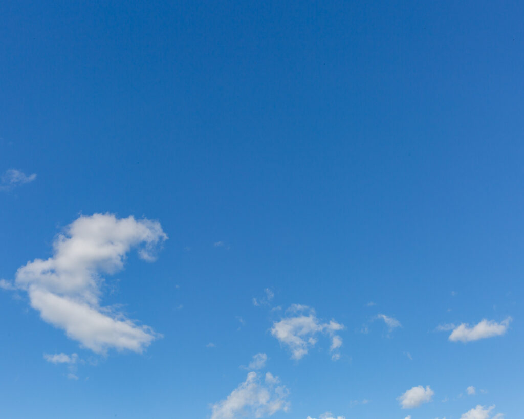 late summer blue skies at a Woolverton Inn, Stockton, NJ wedding, photography by Laura Billingham