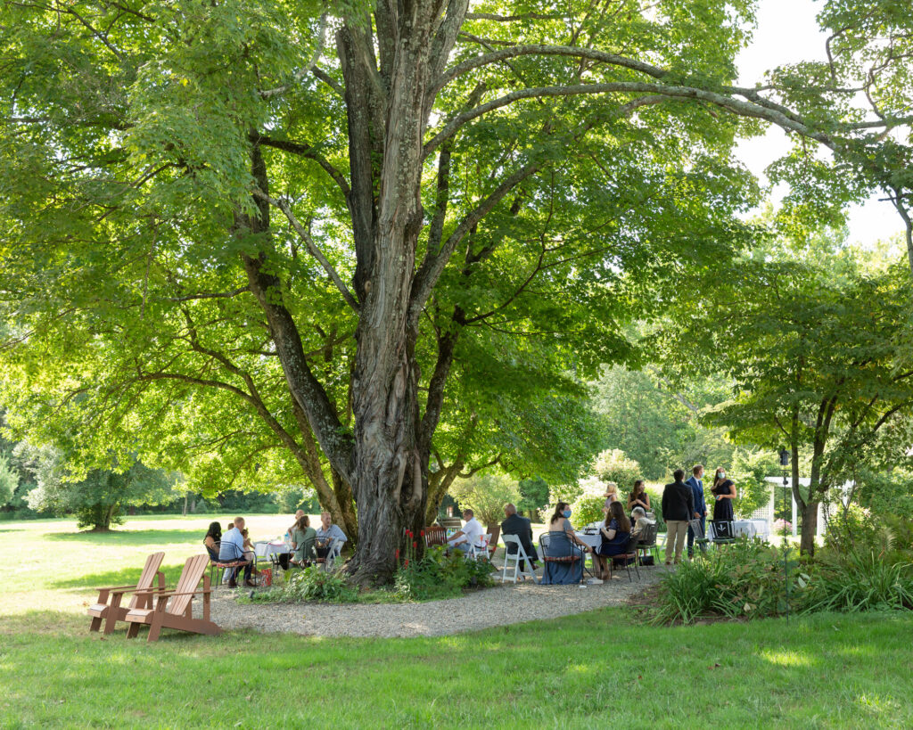 Wedding guests gather at summer cocktail hour under a large tree after an outdoor wedding ceremony at the Woolverton Inn in Stockton, NJ photographed by Laura Billingham Photography