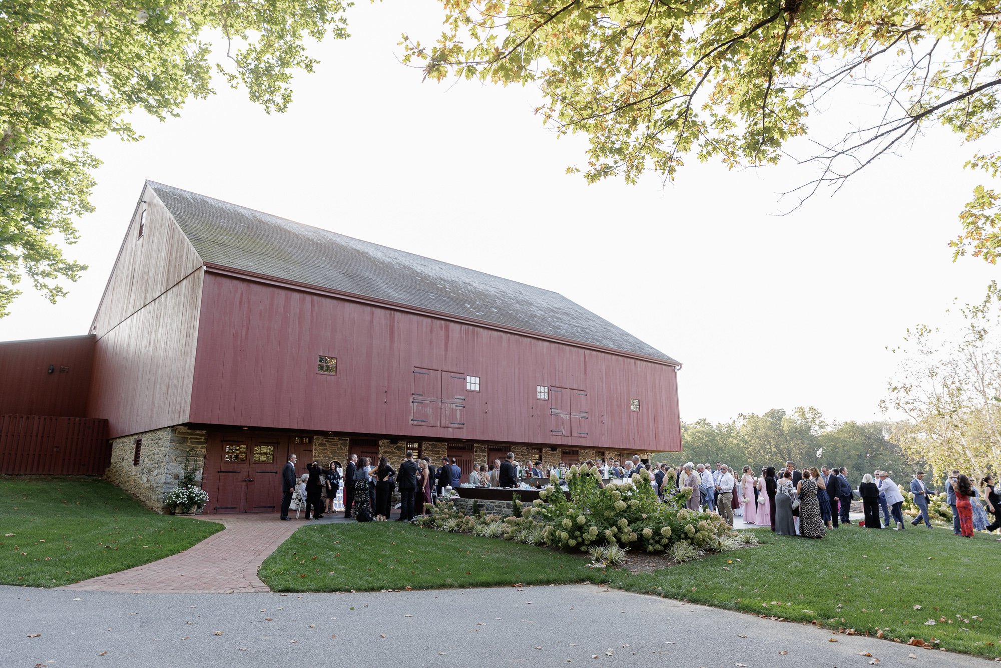 Wedding cocktail hour at The Barn and Courtyard framed by leafy tree branches at golden hour at Farm at Eagles Ridge in Lancaster, PA