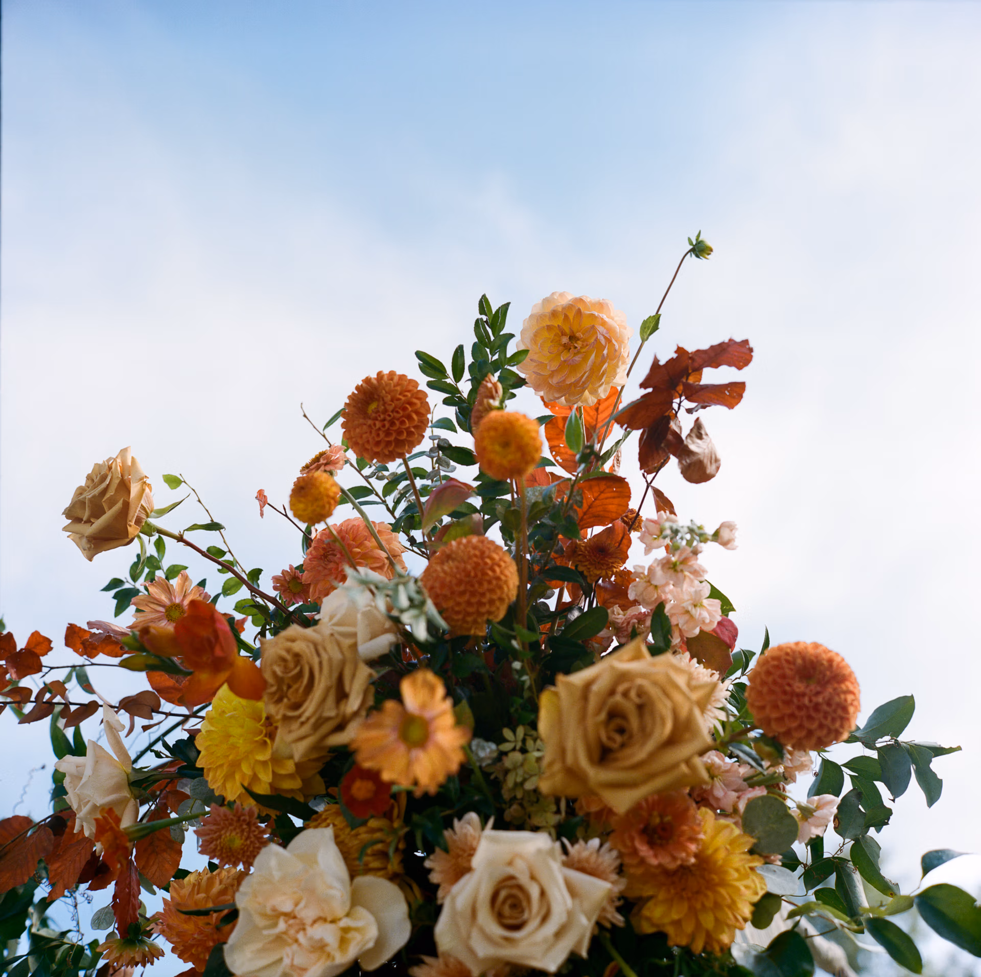 lush autumn florals with a blue sky and wispy clouds over a chuppah at the Woolverton Inn