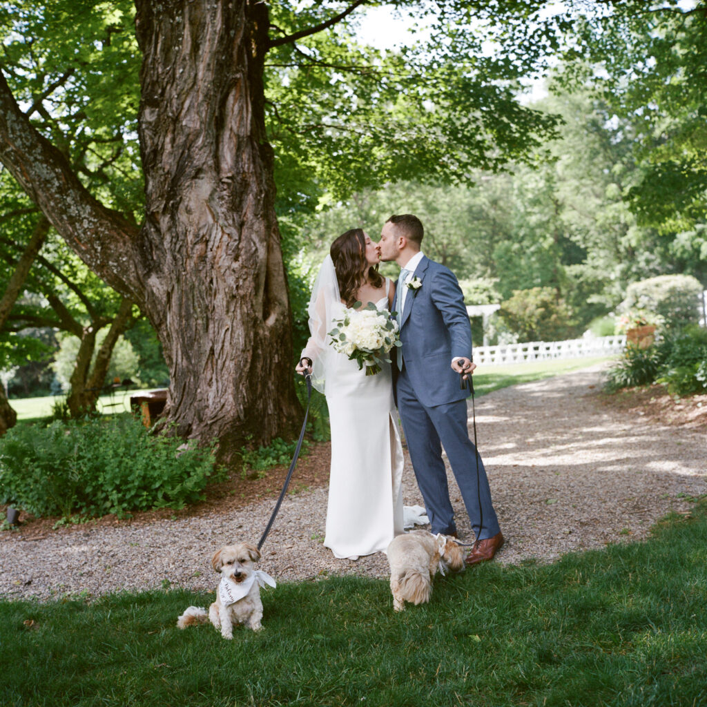 A bride in a sleek white satin gown and a groom in a blue suit lean in to kiss while each of them holds a small, leashed tan and white dog on a leash under the shade of a very large oak tree on a summer day