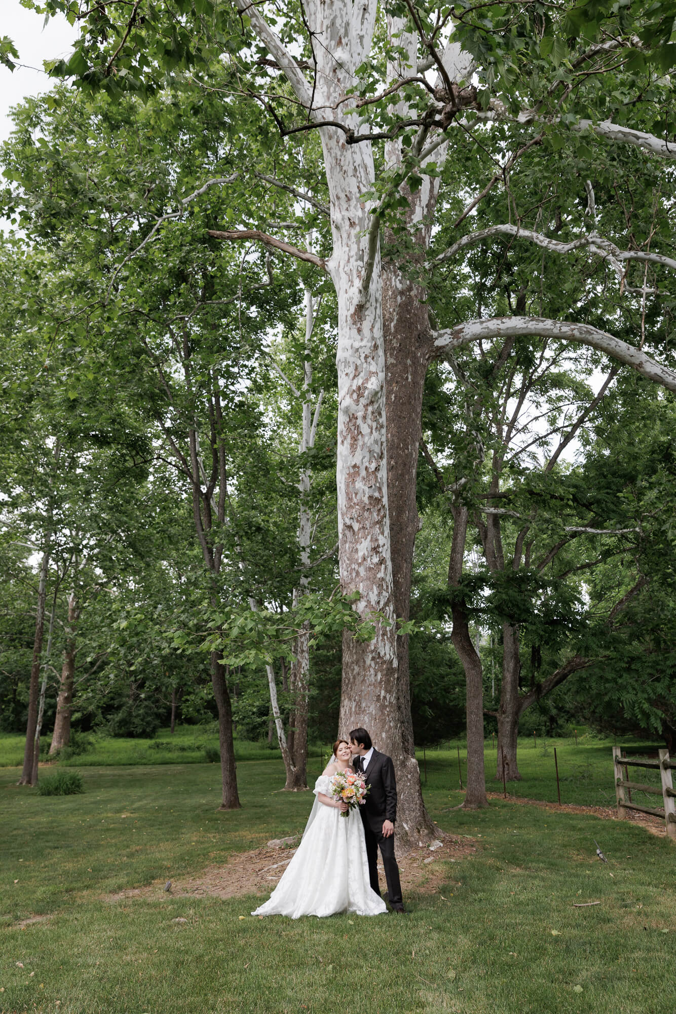 Bride and groom stand under a very tall, historic sycamore tree on the Woolverton Inn property